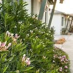 Bungalows Hostel